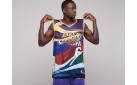 Джерси Nike Los Angeles Lakers цвет: Разноцветный