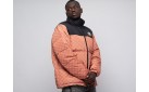 Куртка The North Face x Gucci цвет: Коричневый