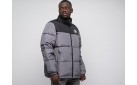 Куртка The North Face x Gucci цвет: Серый