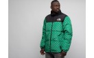 Куртка The North Face x Gucci цвет: Зеленый