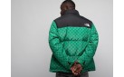 Куртка The North Face x Gucci цвет: Зеленый