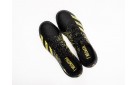 Футбольная обувь Adidas Predator Freak.3 IN цвет: Черный
