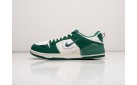 Кроссовки Nike Dunk Low Disrupt 2 цвет: Зеленый