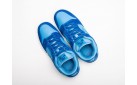 Кроссовки Nike SB Dunk Low цвет: Синий