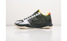 Кроссовки Nike Kobe 5 Protro цвет: Разноцветный
