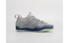 Кроссовки Nike KD 15 цвет: Серый