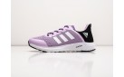 Кроссовки Adidas цвет: Фиолетовый