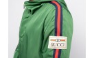 Анорак Gucci цвет: Зеленый