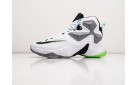 Кроссовки Nike Lebron 13 цвет: Белый
