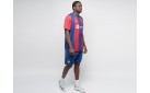 Футбольная форма Nike FC Barcelona цвет: Разноцветный