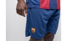 Футбольная форма Nike FC Barcelona цвет: Разноцветный