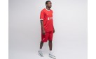 Футбольная форма Nike FC Liverpool цвет: Красный