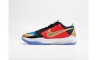 Кроссовки UNDEFEATED x Nike Kobe 5 Protro цвет: Разноцветный