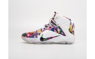 Кроссовки Nike Lebron 12 цвет: Разноцветный