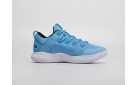 Кроссовки Nike Hyperdunk X Low цвет: Голубой