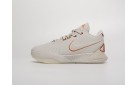 Кроссовки Nike Lebron XXI цвет: Белый
