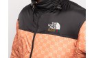 Куртка The North Face x Gucci цвет: Коричневый